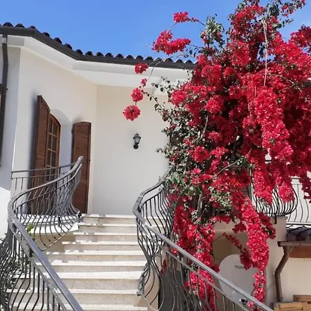 Affittacamere La Kenzia Guest house Olbia